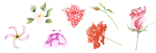 手作り​の​水彩画​の​花​の​アート​デザイン