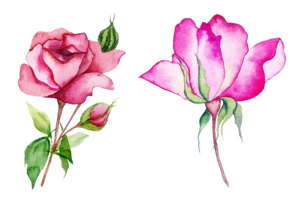 Handmade watercolor floral art