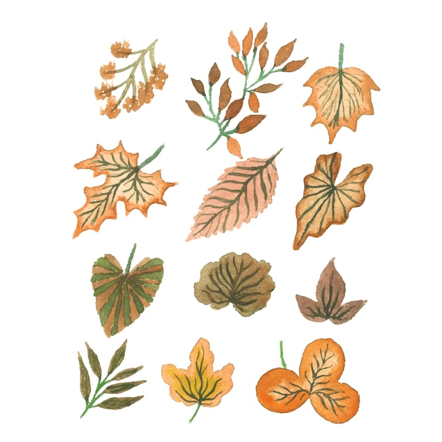 Free vector handmade watercolor tropical leaves collections