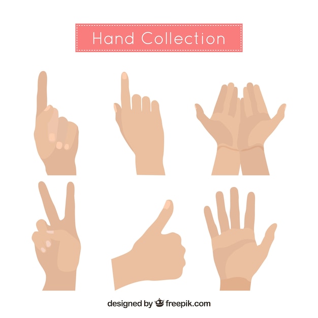 Hands collection with different poses in flat syle