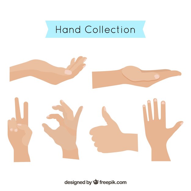 Hands collection with different poses in flat syle