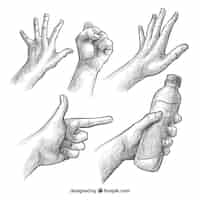 Бесплатное векторное изображение Сбор рук с различными позами в реалистичном стиле