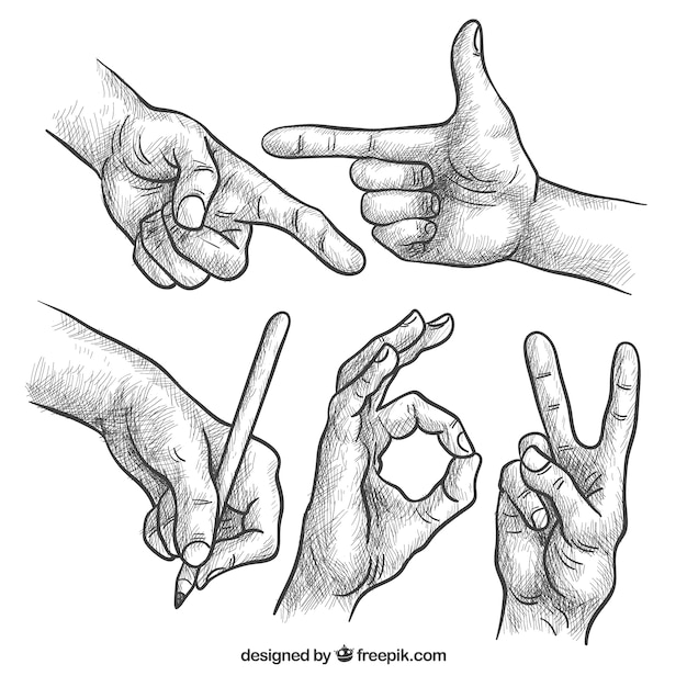 Free vector hands collection with different poses in realistic style