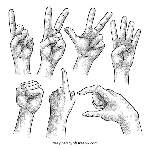 Free vector hands collection with different poses in realistic style