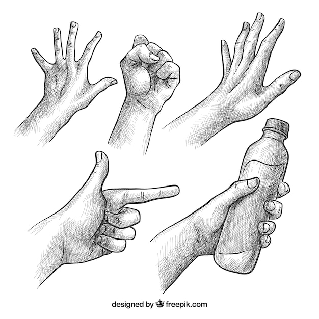 Free vector hands collection with different poses in realistic style