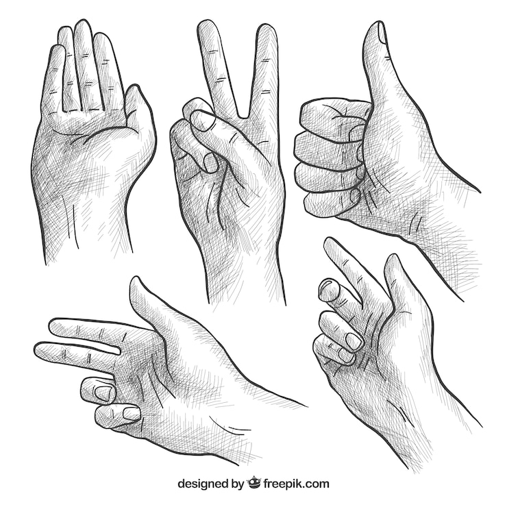 Free Vector hands collection with different poses in realistic style
