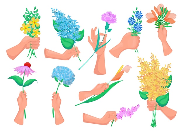 Hands of women holding spring flowers, sprigs with blossoms, blooming bouquets isolated on white