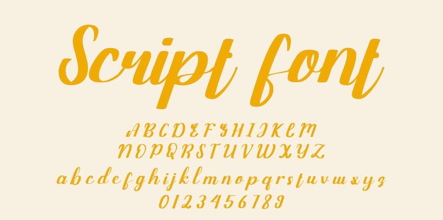 Handwritten script font. brush font