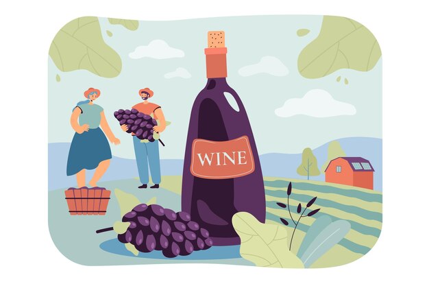 Illustrazione piana isolata delle coppie felici che producono vino naturale