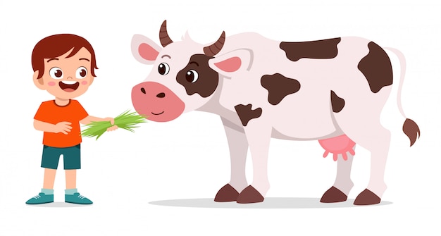 Premium Vector | Boy feed cow cartoon illustration