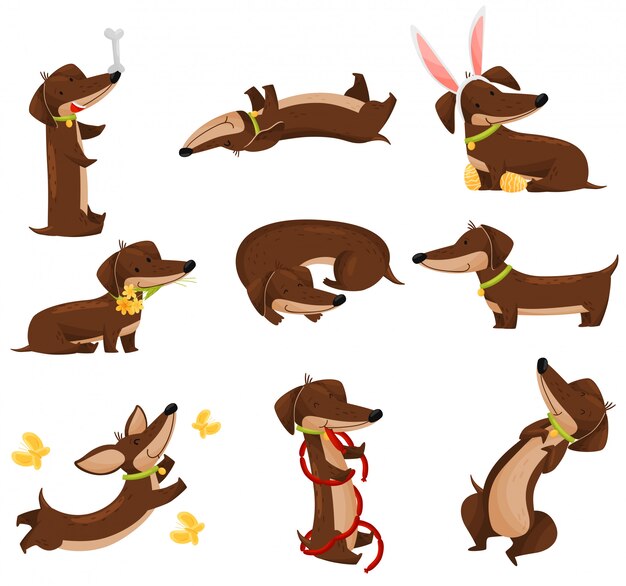 Img Freepik Com Free Vector Happy Dachshunds On