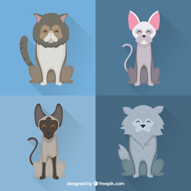 Free vector happy dogs pack