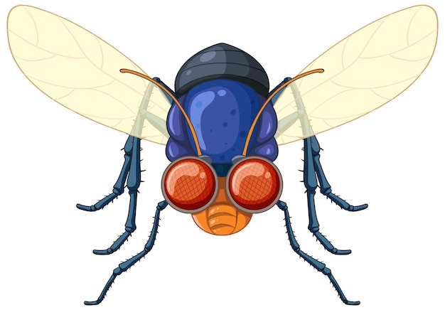 Free vector happy fly cartoon character