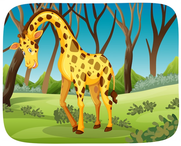 Free vector happy giraffe in nature scene