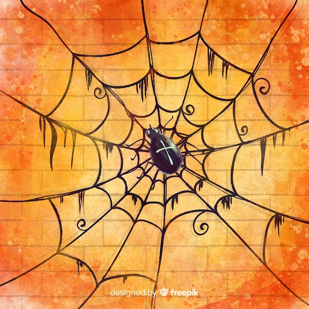 Happy halloween background with beautiful cobweb