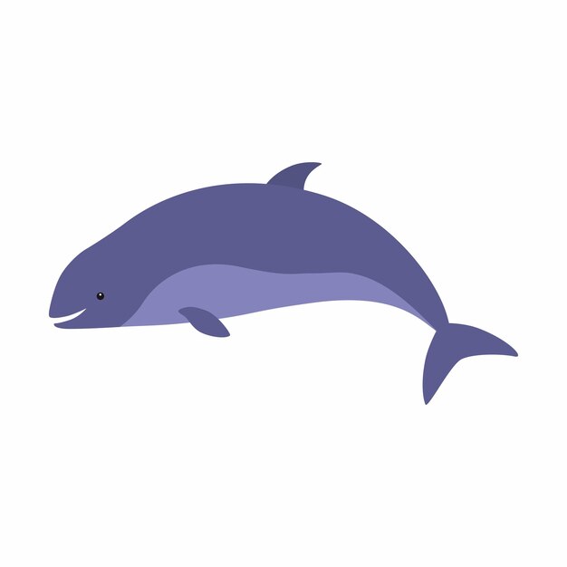 イルカ 画像 無料のベクター ストックフォト Psd