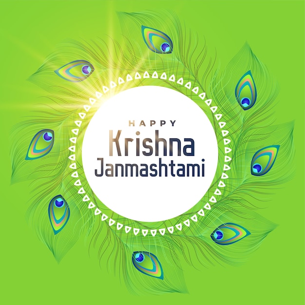 Felice krishna janmashtami piuma di pavone sfondo verde vettore