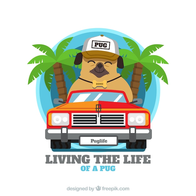 Free vector happy pug with palm trees and cool car