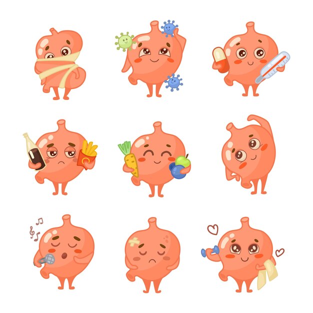 Happy stomach character with cute face cartoon illustration set. Healthy and sick human organ holding pills, thermometer, fast food, vegetables, doing sport. Nutrition, digestive system concept