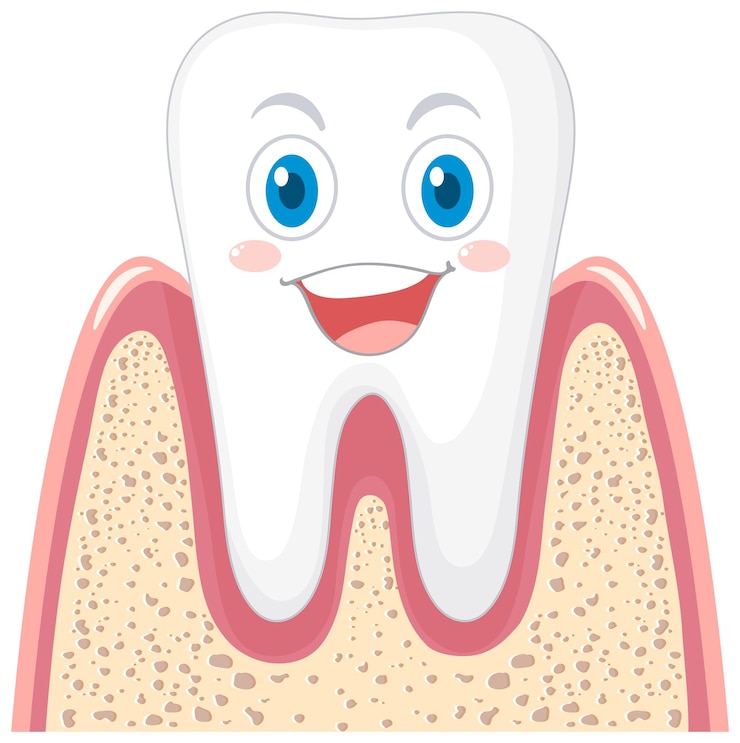 Free Vector happy strong tooth in gum on white background