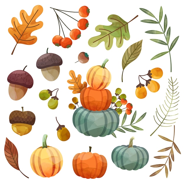 Free vector happy thanksgiving day card or flyer with walnut, pumpkin and maple leaves.