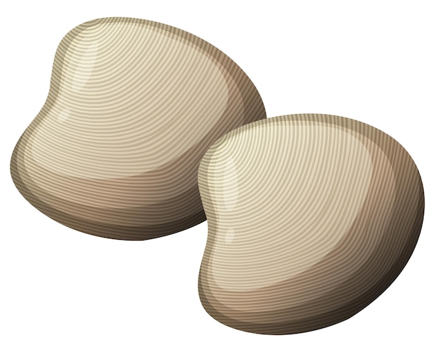 Бесплатное векторное изображение Твердый моллюск или устрица в мультяшном стиле на белом фоне