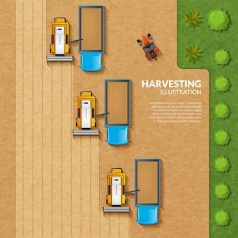 Harvesting top view illustration