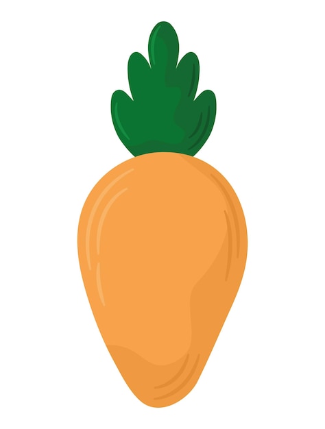 Disegno sano della carota