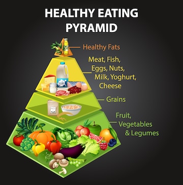 Healthy eating pyramid chart 1308 50177
