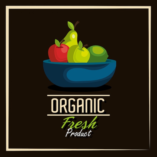 Free vector healthy food  design