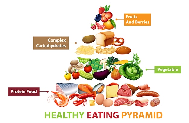 免费矢量健康食物金字塔图