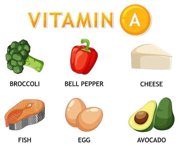 무료 벡터 균형 잡힌 식단 을 위해 비타민 a 를 함유 한 건강 한 음식