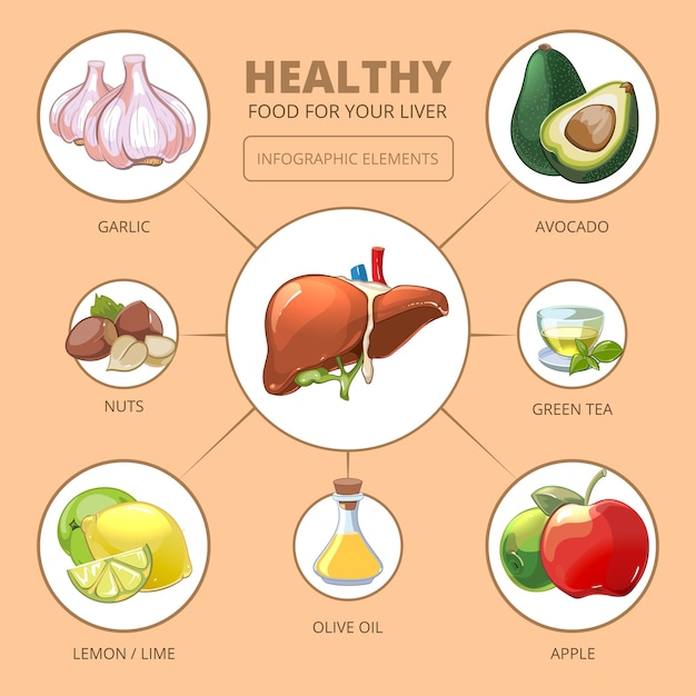 Alimenti sani per il fegato. mela e oliva, lime o limone, tè verde, noci e aglio, illustrazione vettoriale. infografica di salute medica