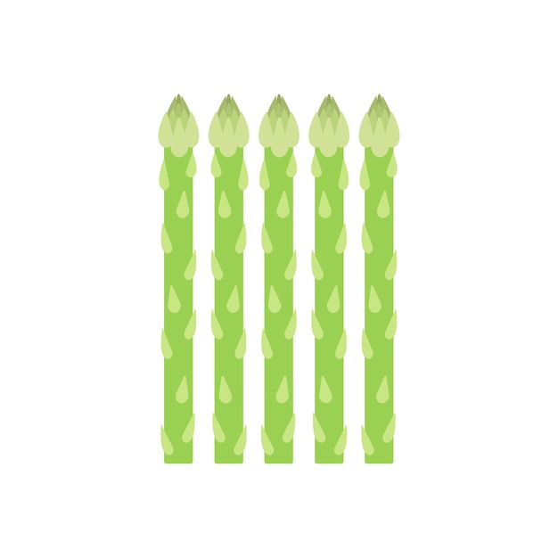 Healthy green asparagus graphic illustration