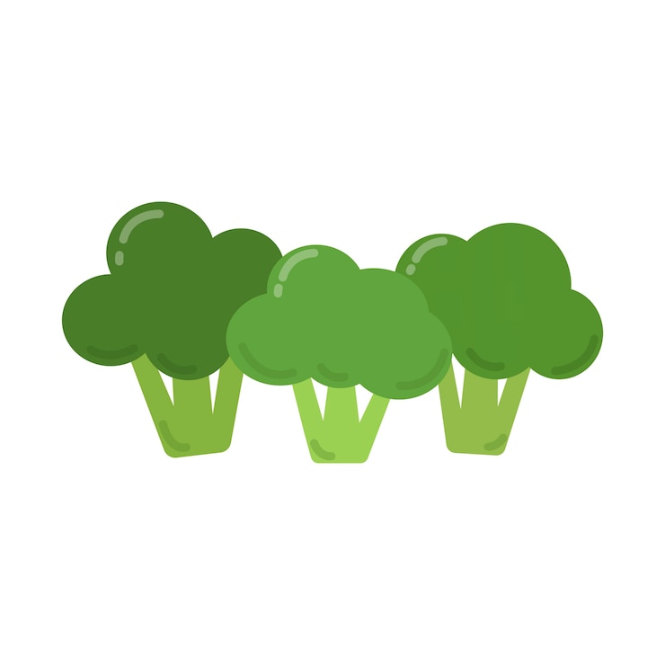 Free Vector healthy green broccoli graphic illustration