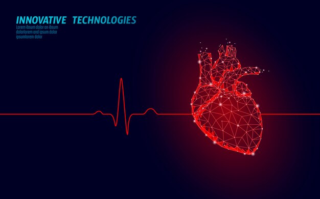 3d human heart model free software