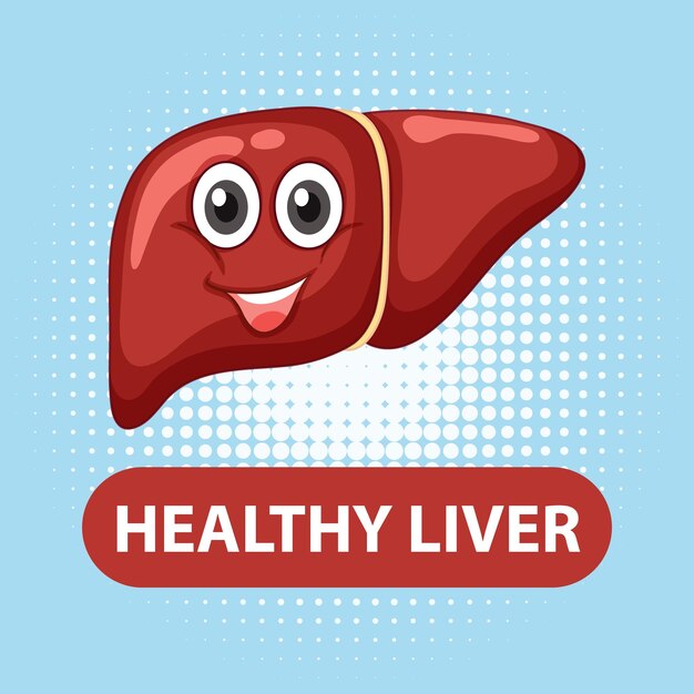 Healthy liver cartoon character