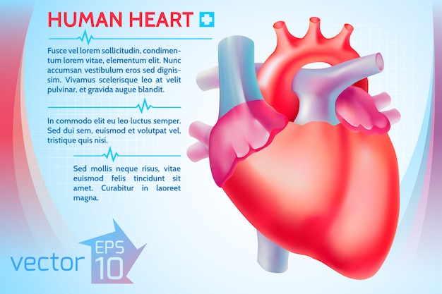 Healthy medicine template with text and colorful human heart on light illustration