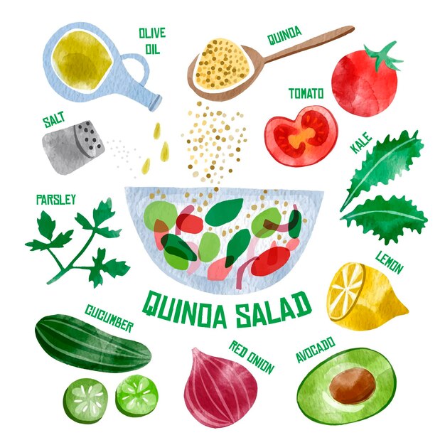 Healthy quanda salad illustrated
