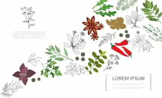 Бесплатное векторное изображение Ботанический шаблон здоровых специй