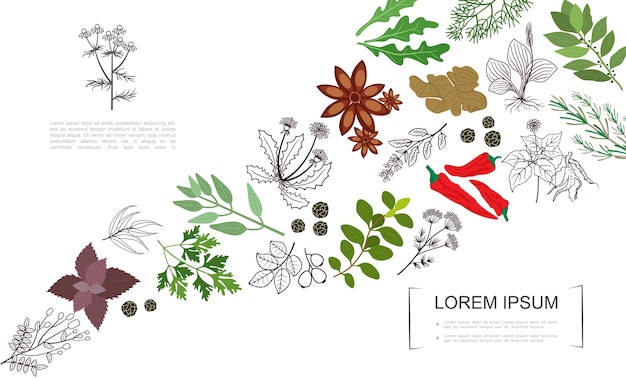 Healthy spices botanical template 