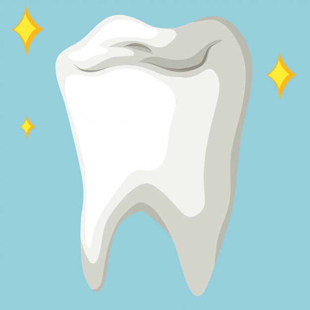 Здоровый зуб крупным планом