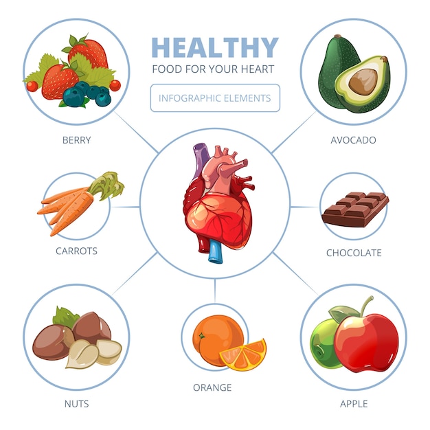 심장 관리 벡터 인포 그래픽. 건강 식품. 다이어트 및 관리, 사과 비타민 그림