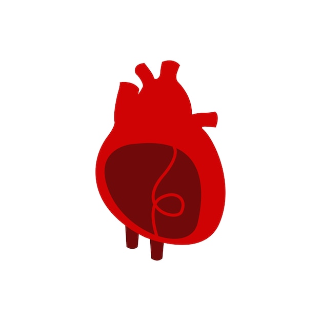 심장 기관 격리 벡터 일러스트 레이 션