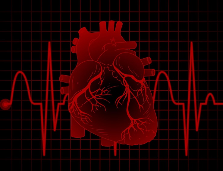 Free Vector heartbeat with heart rate graph