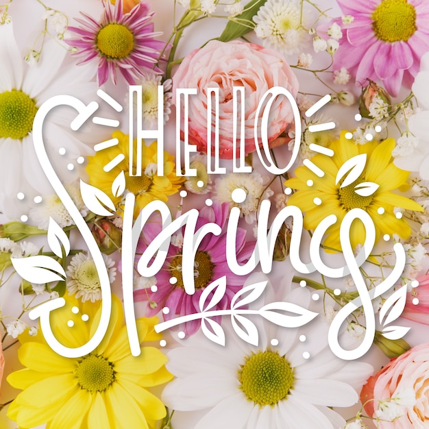 Hello spring lettering on colorful flowers