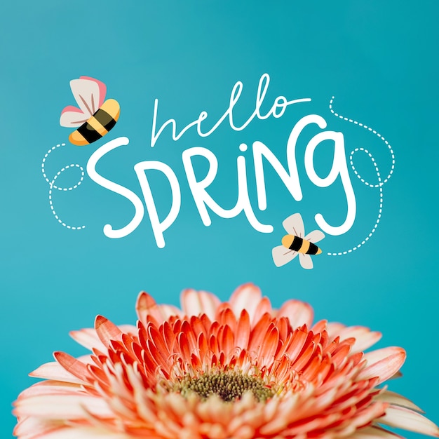 Vettore gratuito ciao primavera lettering stile con foto