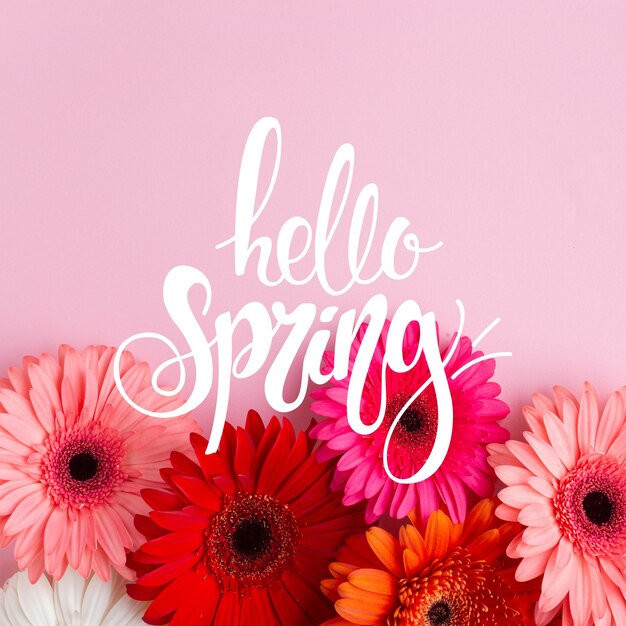 Hello spring lettering with photo concept