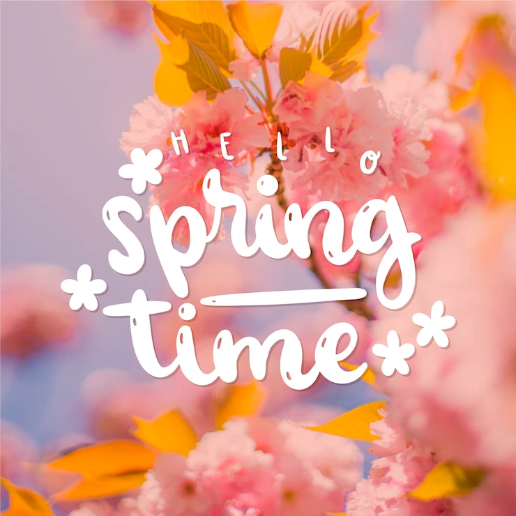 Free Vector hello spring lettering with photo design