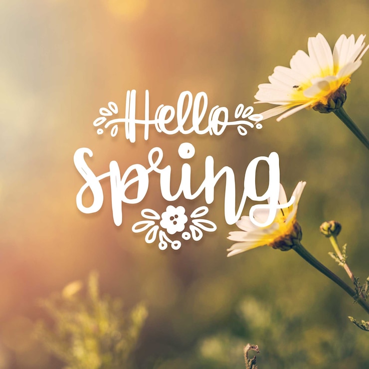 Free Vector hello spring lettering with photo theme